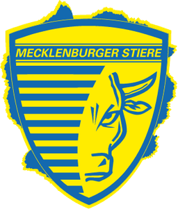 Mecklenburger Stiere