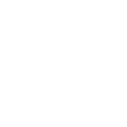 Beachlife