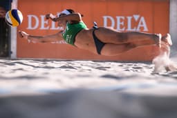 Halle Mensch