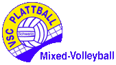 VSC Plattball Schwerin
