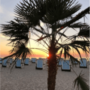 Beach 2000